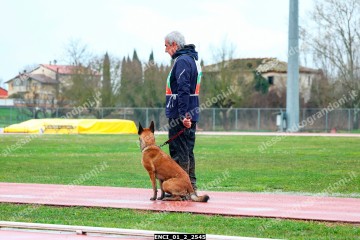 ENCI_01_2_2545.jpg