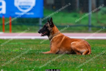 ENCI_01_2_2817.jpg