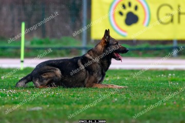 ENCI_01_2_3889.jpg