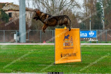 ENCI_01_2_4004.jpg