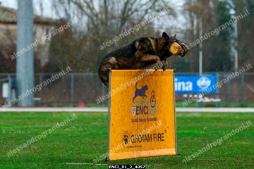 ENCI_01_2_4057.jpg