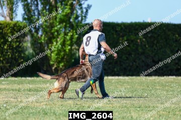 IMG_2604.jpg