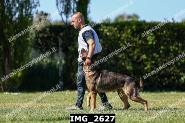 IMG_2627.jpg