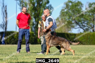 IMG_2649.jpg