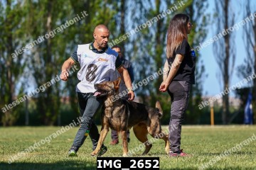 IMG_2652.jpg