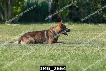 IMG_2664.jpg