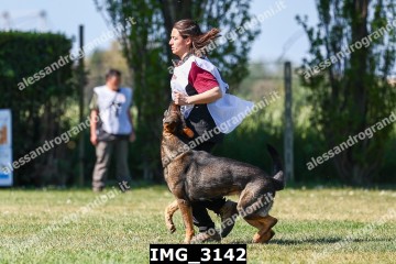IMG_3142.jpg