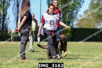 IMG_3162.jpg