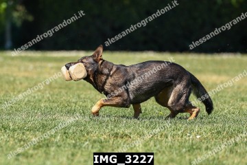 IMG_3227.jpg
