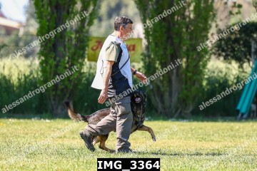IMG_3364.jpg