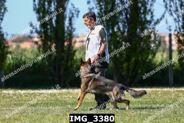 IMG_3380.jpg
