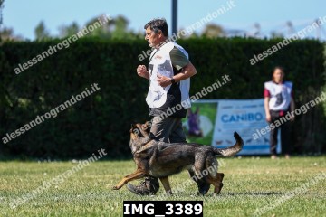IMG_3389.jpg