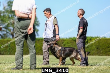 IMG_3410.jpg