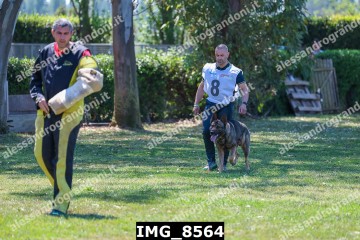 IMG_8564.jpg