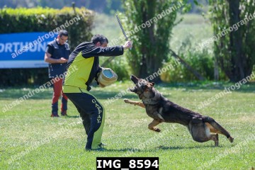 IMG_8594.jpg