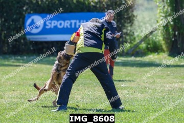 IMG_8608.jpg