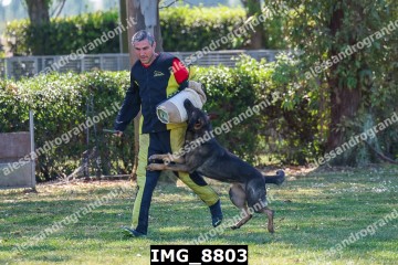 IMG_8803.jpg