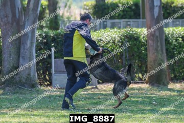 IMG_8887.jpg