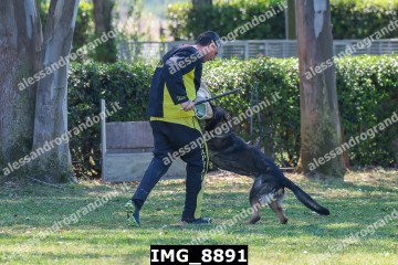 IMG_8891.jpg