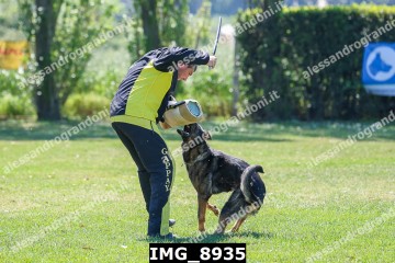 IMG_8935.jpg