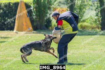 IMG_8964.jpg