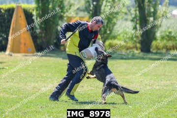 IMG_8978.jpg