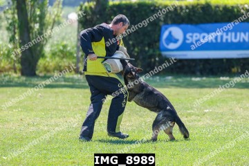 IMG_8989.jpg