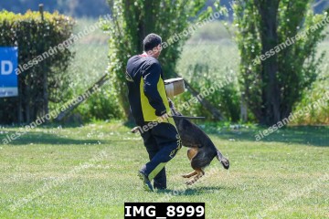 IMG_8999.jpg