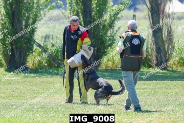 IMG_9008.jpg