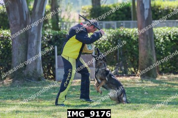 IMG_9176.jpg
