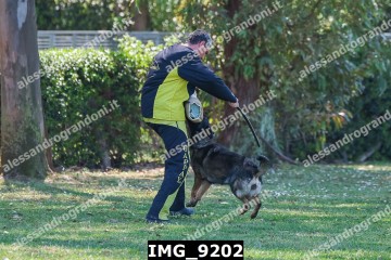 IMG_9202.jpg