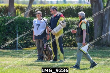 IMG_9236.jpg