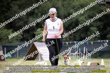 _21A0041.jpg