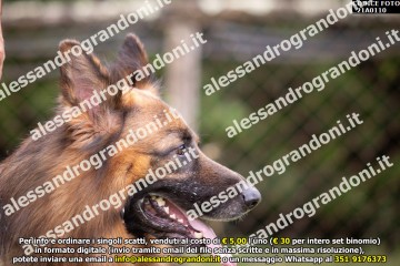 _21A0110.jpg