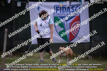 _21A0116.jpg