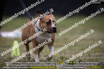 _21A0140.jpg