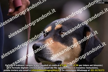 _21A0168.jpg
