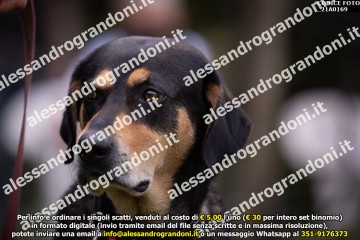_21A0169.jpg