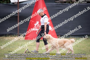 _21A0201.jpg