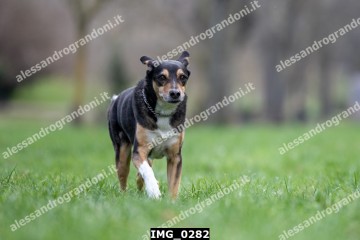 IMG_0282.jpg