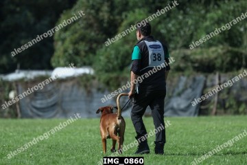 IMG_0860.jpg