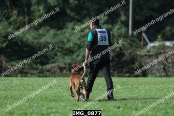 IMG_0877.jpg