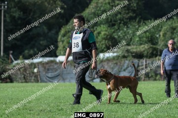 IMG_0897.jpg