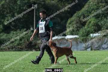 IMG_0902.jpg