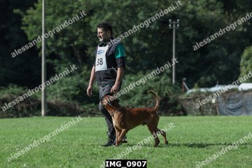IMG_0907.jpg