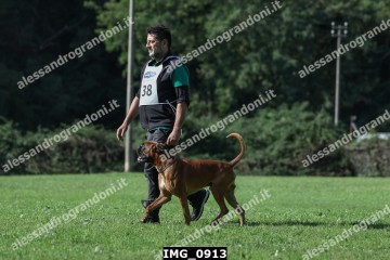 IMG_0913.jpg