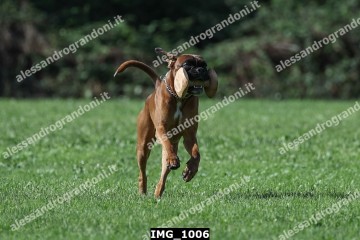 IMG_1006.jpg