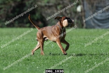 IMG_1030.jpg