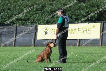 IMG_1053.jpg