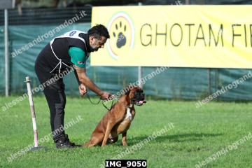 IMG_9050.jpg